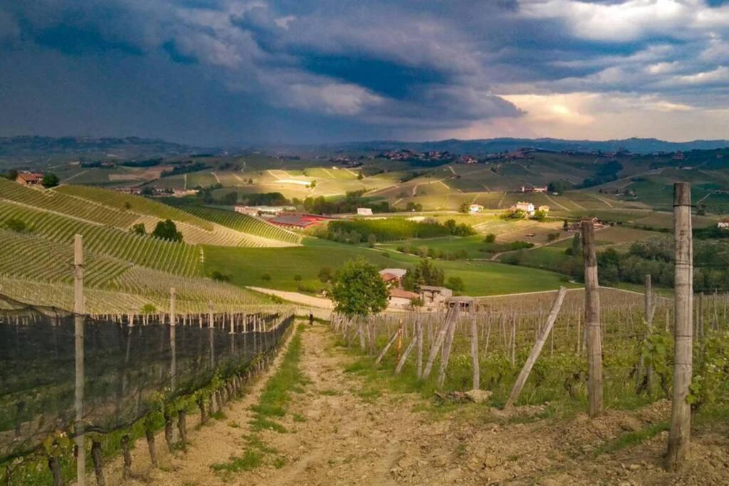 Ex Ostu Impero: Vino, Tartufo Ed Ospitalita Daire La Morra Dış mekan fotoğraf